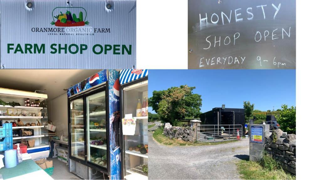 The Cosy Studio By The Shore Galway Zewnętrze zdjęcie
